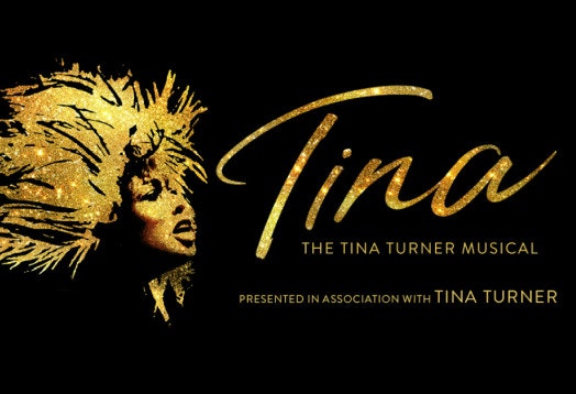 Tina the Tina Turner Musical